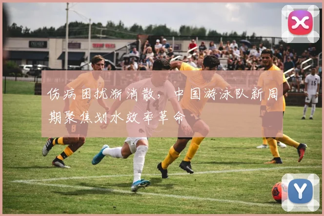 伤病困扰渐消散，中国游泳队新周期聚焦划水效率革命